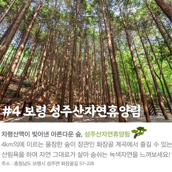 #4 보령성주산자연휴양림 차령산맥이 빚어낸 아른다운 숲, 성주산자연휴양림 4km의에 이르는 울창한 숲이 장관인 화장골 계곡에서 즐길 수 있는 산림욕을 하며 자연 그대로가 살아 숨쉬는 녹색자연을 느껴보세요! 주소: 충청남도 보령시 성주면 화장골길 57-228