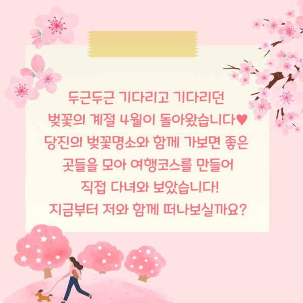 두근두근 기다리고 기다리던 벚꽃의 계절 4월이 돌아왔습니다♥ 당진의 벚꽃명소와 함께 가보면 좋은 곳들을 모아 여행코스를 만들어 직접 다녀와 보았습니다! 지금부터 저와 함께 떠나보실까요?