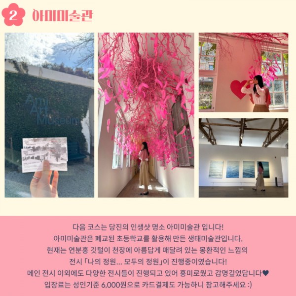 2. 아미미술관: 다음 코스는 당진의 인생샷 명소 아미미술관 입니다! 아미미술관은 폐교된 초등학교를 활용해 만든 생태미술관입니다. 현재는 연분홍 깃털이 천장에 아름답게 매달려 있는 몽환적인 느낌의 전시 [나의 정원....모두의 정원]이 진행중이였습니다! 메인 전시 이외에도 다양한 전시들이 진행되고 있어 흥미로웠고 감명깊었답니다♥ 입장료는 성인기준 6,000원으로 카드결제도 가능하니 참고해주세요 :)