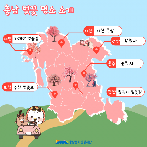 충남 벚꽃 명소 소개 태안 가제산 벚꽃길, 보령 주산 벚꽃로, 청양 장곡사 벚꽃길, 공주 동학사, 천안 각원사, 서산 서산목장