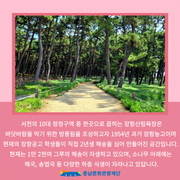 장항송림산림욕장