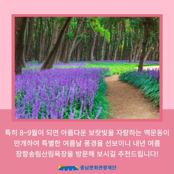 장항송림산림욕장